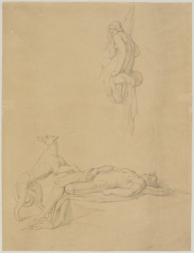 Estudos nus sobre o "Narciso e Eco" de Ovid de Bonaventura Genelli