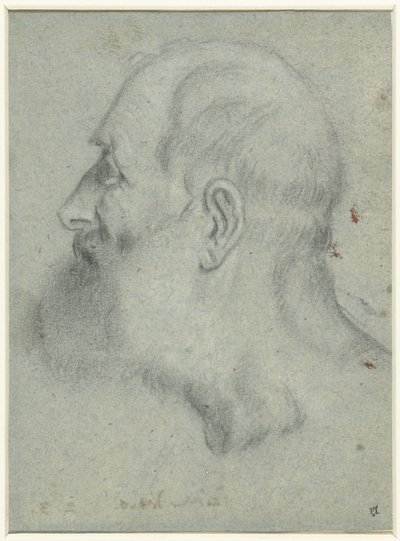 Cabeça de homem barbudo, de perfil à esquerda de Bonifazio Veronese (attributed to)