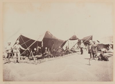 Hospital de Campo de Bourne and Shepherd