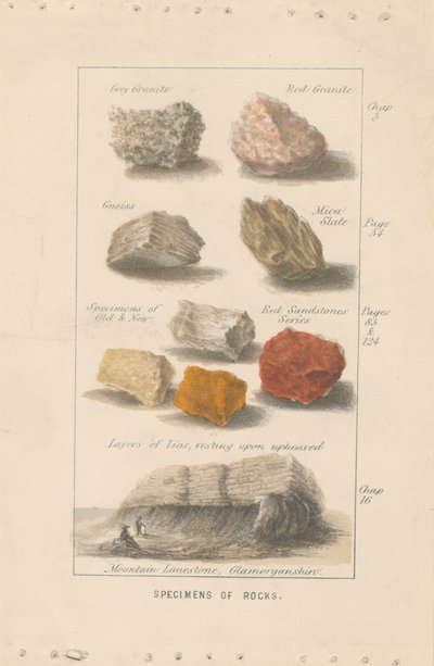 Espécimes de Rochas. Prova de uma Ilustração para o 