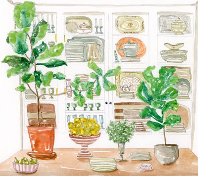 Plantas para armários de cozinha de Breanna Megan Studio