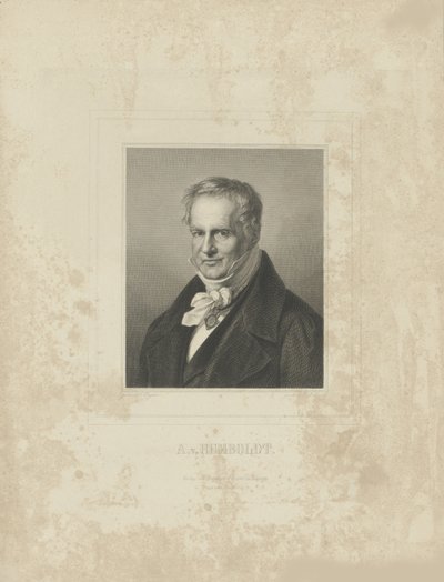 Retrato de Alexander von Humboldt 1769-1859, c. 1850 de Breitkopf and Härtel