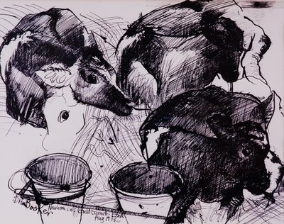 Bezerros, úmidos, recém-nascidos, 1978 de Brenda Brin Booker