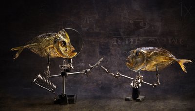 Curiosa conversa de peixes de Brig Barkow
