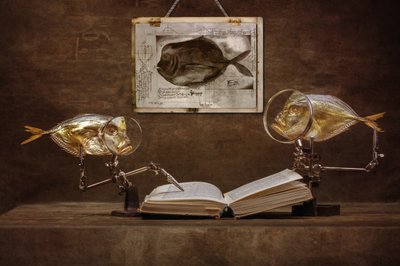 Curiosos peixes eruditos de Brig Barkow