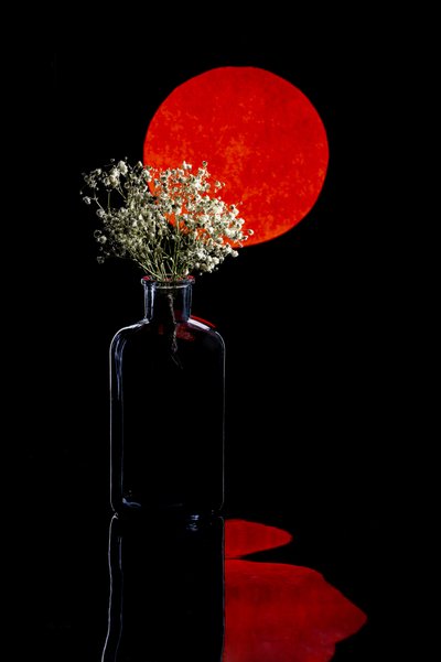 Reflexo floral do sol vermelho de Brig Barkow