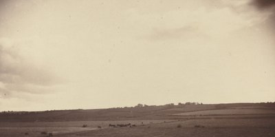Vista dos Campos com Vacas de British 19th Century