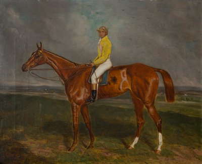 Um cavalo de corrida de castanhas com Jockey, c.1860-90 (óleo sobre tela) de British School