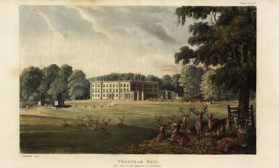 Rebanho de veados em frente ao Trentham Hall de British School