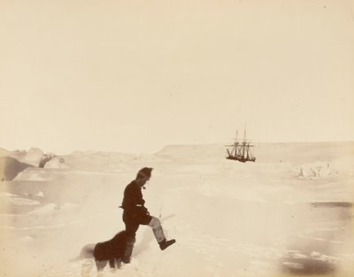 Alojamento de inverno do "Alert"; o Cabo Rawson ao longe; o Sr. White e o "Nelly", durante a expedição britânica ao Ártico de British School