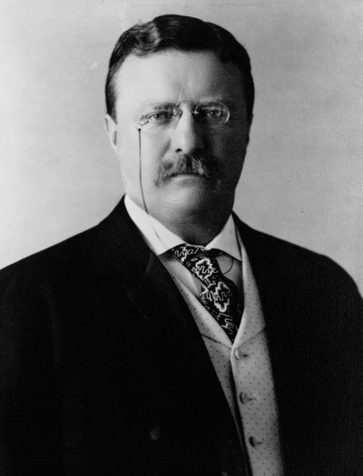 Theodore Roosevelt, c.1904 (foto a p/b) de Brothers Pach
