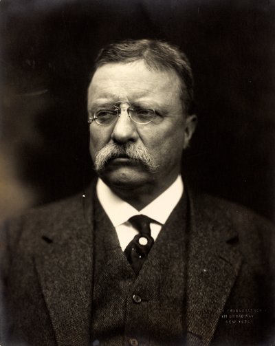 Theodore Roosevelt, c.1915 (foto p/b) de Brothers Pach