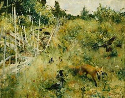 Uma raposa pegando um corvo; Rav Och Krakor de Bruno Andreas Liljefors
