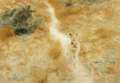 Uma lebre de inverno em uma paisagem de Bruno Andreas Liljefors