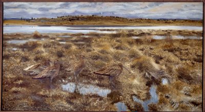 Coalhadas Aves nos pântanos. Pintura de Bruno Andreas Liljefors (1860-1939) 1913 Sol. 1,19x2,2 m de Bruno Andreas Liljefors