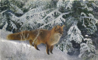 A Raposa no Inverno de Bruno Andreas Liljefors