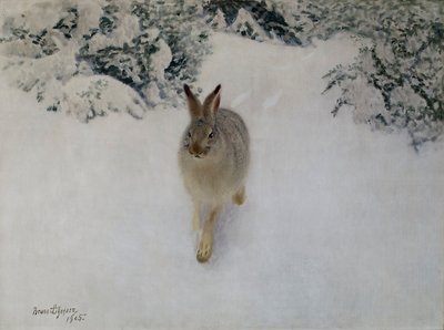 Lebre no Inverno de Bruno Andreas Liljefors