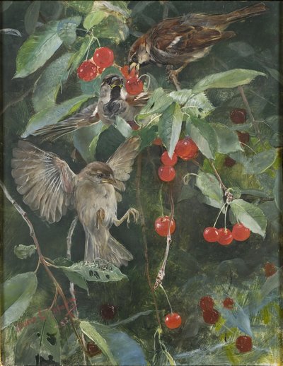 Pardais em uma árvore de cereja, 1885 de Bruno Andreas Liljefors