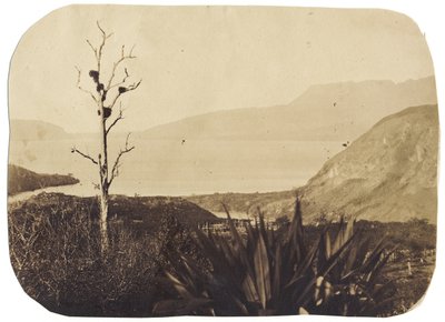 Lago e Monte Tarawera de Wairoa, 1860 (impressão de albume) de Bruno Hamel