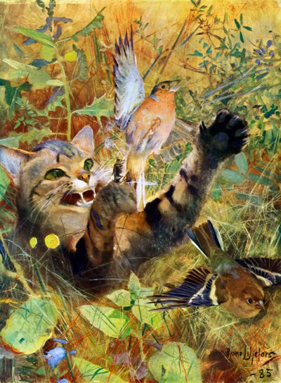 Um gato e um tentilhão, 1885 1945. de Bruno Andreas Liljefors