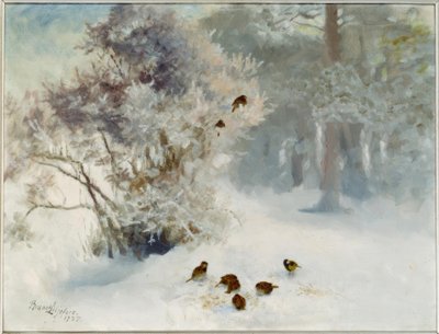 Alimentação de pássaros na neve de Bruno Andreas Liljefors