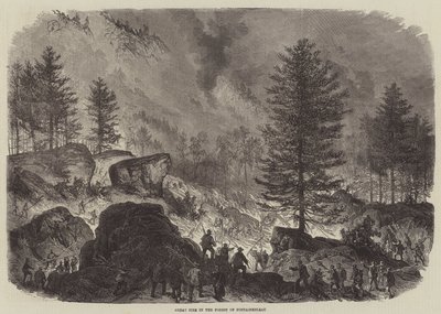 Grande incêndio na floresta de Fontainebleau de Burn Smeeton