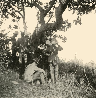 Árvore da qual o capitão Paget ... viu ... a batalha de San Juan, guerra hispano-americana, junho de 1898, 1899. de Burr McIntosh