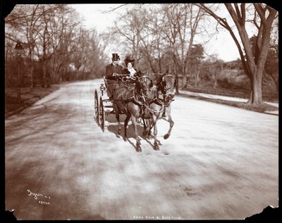 Anna Held e Florenz Ziegfeld dirigindo uma carruagem puxada por cavalos, Nova York, 1904 (impressão em gelatina de prata) de Byron Company