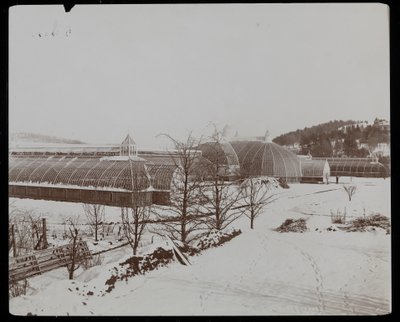 As estufas na neve na propriedade Helen Gould (residência do falecido Jay Gould) em Tarrytown, Nova York, 1894 (impressão de gelatina de prata) de Byron Company