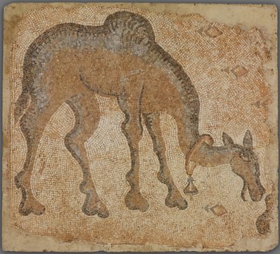 Fragmento de mosaico com camelo pastando de Byzantine