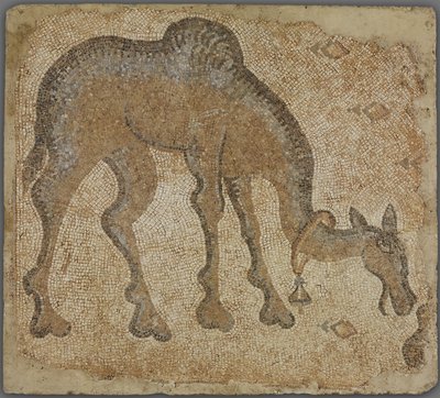 Fragmento de mosaico com camelo pastando de Byzantine