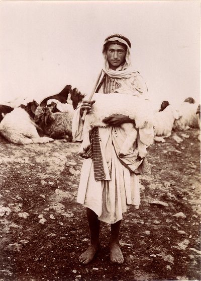 Um, pastor, menino, carregar, um, cordeiro, c.1894-1914 de C.A. Hornstein