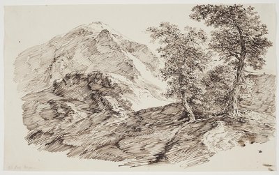 Paisagem montanhosa com árvores de C.F. von Rumohr