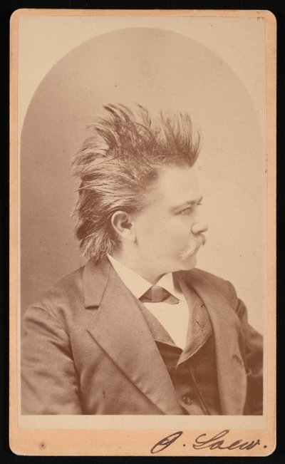 Retrato de Oscar Loew, por volta de 1876. de CH McCallister