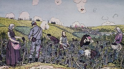 Os nossos viticultores vindimaram debaixo de fogo, a colheita na região de Champagne em 1914, Primeira Guerra Mundial, França, século XX de J.B. and Brown J. Rowbotham