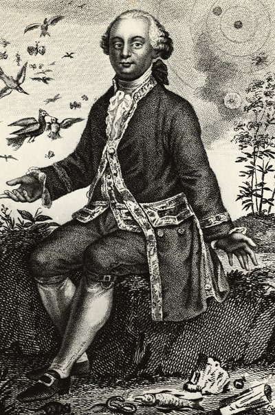 Retrato de Georges-Louis Leclerc de Buffon (1707-1788), naturalista e matemático francês, gravura de J.B. and Brown J. Rowbotham