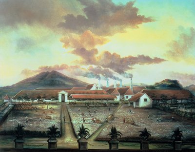 Uma plantação de açúcar no sul de Trinidad, c.1850 (óleo sobre tela) de C. Bauer