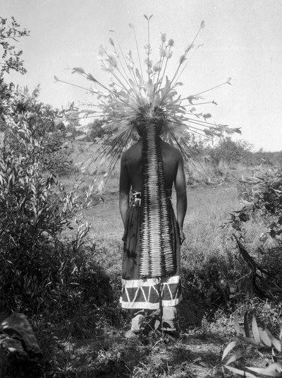 Pessoas nativo-americanas e traje de cerimónia tribal, Califórnia de C. Hart Merriam