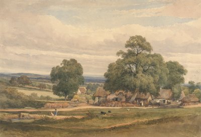 Emerey Down perto de Lyndhurst, New Forest, Hants de C. John M. Whichelo