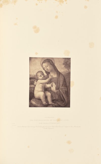 A Virgem e o Menino, de Filippino Lippi de Caldesi and Montecchi