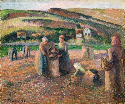Colheita de batatas, 1893 de Camille Jacob Pissarro