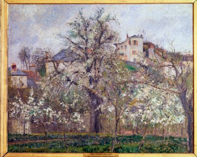Mola, flores de ameixa em Pontoise - óleo sobre tela de Camille Jacob Pissarro