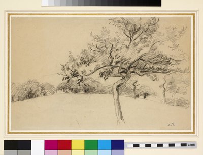 Estudo do pomar em Eragny-sur-Epte com uma árvore em primeiro plano (giz preto sobre papel) de Camille Jacob Pissarro