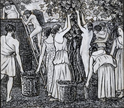 Colheita de uvas, estudo composicional para uma ilustração para 