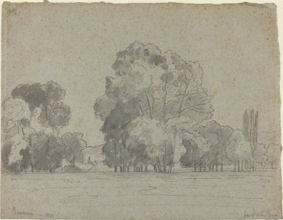 Bosque das Árvores, 1859. de Camille Pissarro