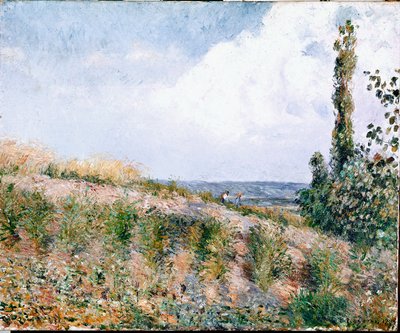 Paisagem (óleo sobre tela) de Camille Jacob Pissarro