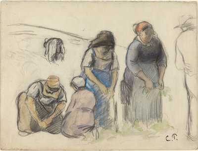Colheitadeiras de ervilhas [reto] de Camille Pissarro