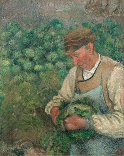 O Jardineiro - Velho Camponês com Repolho de Camille Pissarro