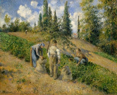 A colheita, Pontoise La Récolte, Pontoise, 1881. de Camille Jacob Pissarro