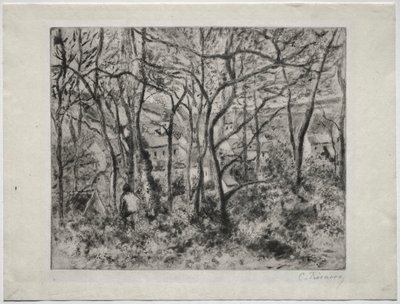 Paisagem arborizada em L